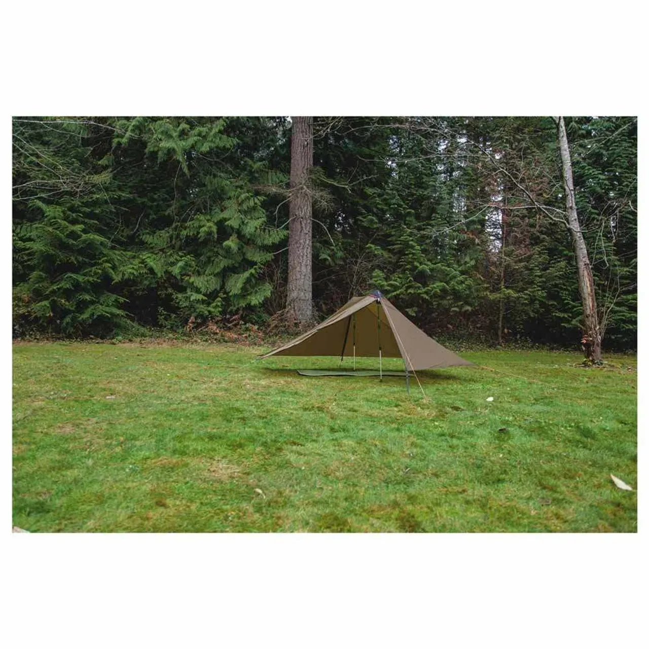 Anaris Tent