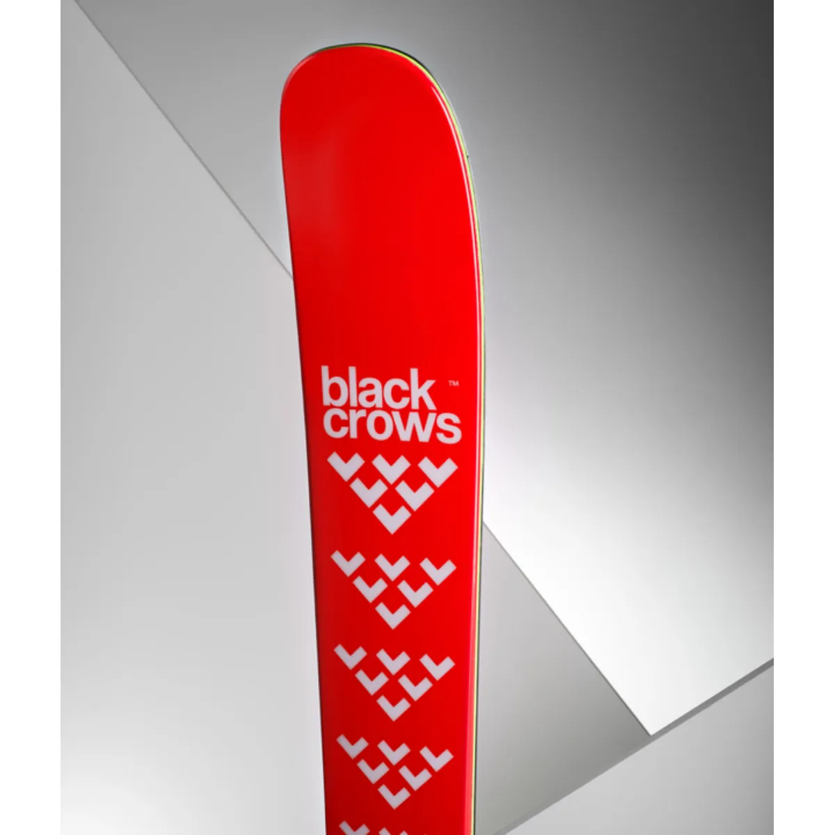 Black Crows Camox Skis