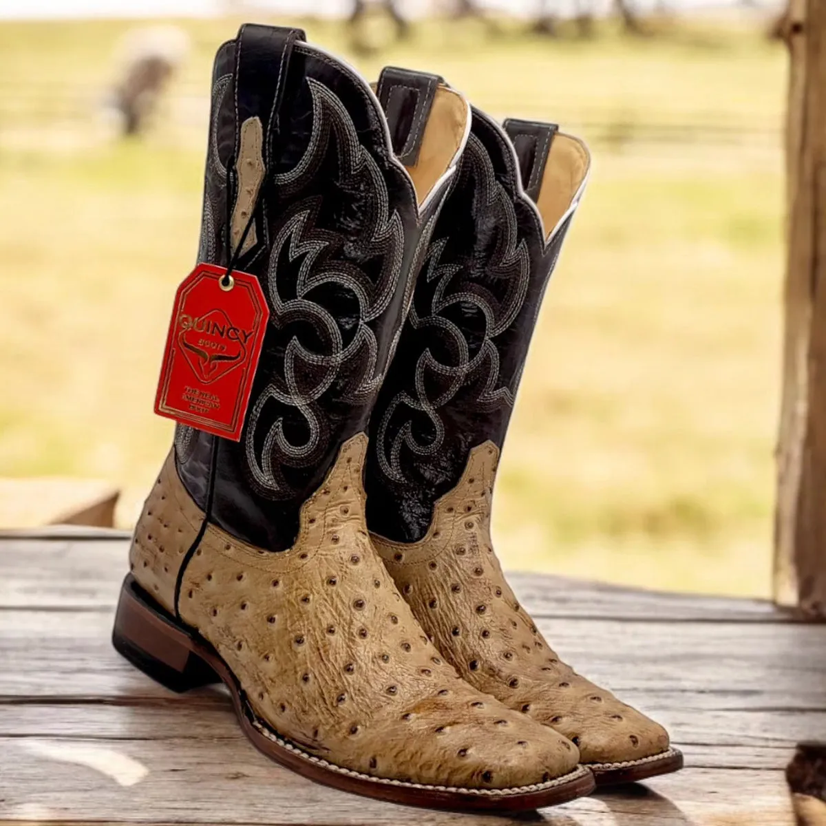 Ostrich Print Cowboy Boots