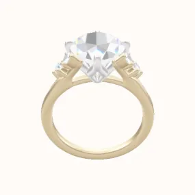 Plain Band with Marquise & Round Diamond Sidestones Engagement Ring With Petal Compass Prong Head